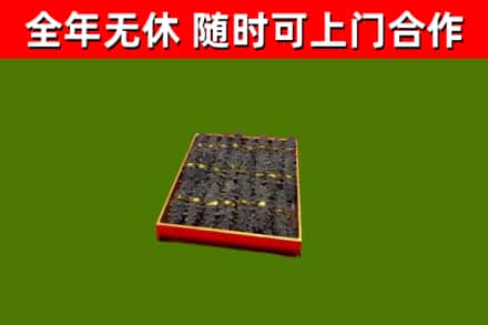 潮州回收海参